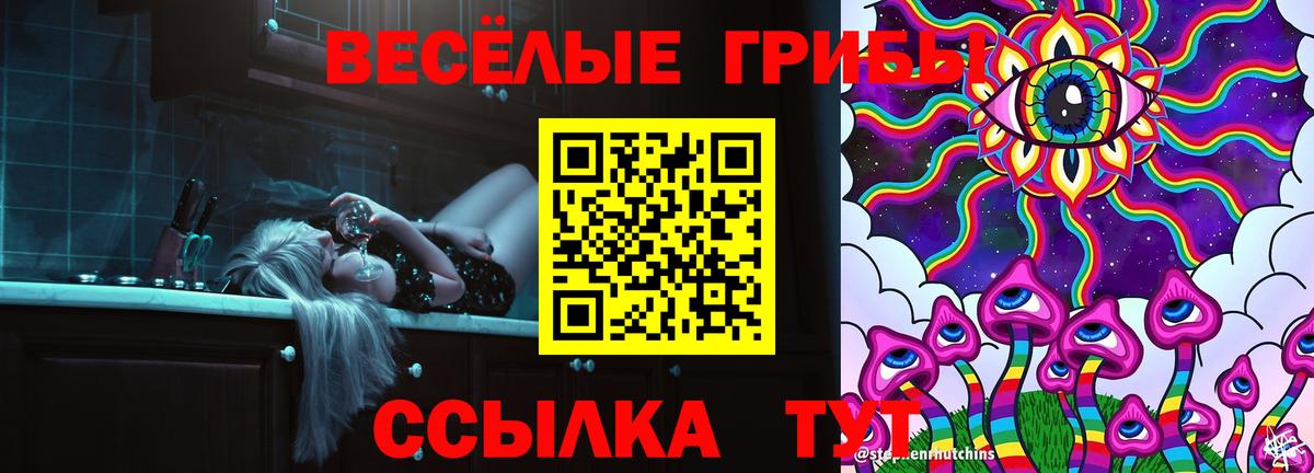 Псилоцибиновые грибы MAGIC MUSHROOMS  Псилоцибиновые грибы Psilocybe  Вход с VPN  Карталы 